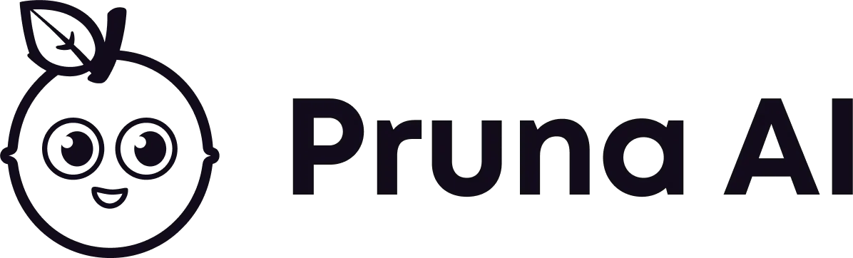 Pruna AI